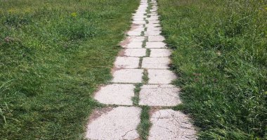 Taş yol ve yeşil çim Bahçe. Çimenlerin üzerinde taş döşeme.