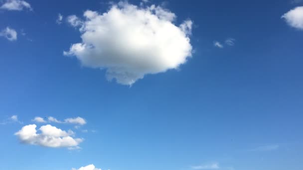 白い雲は 青い空に熱い太陽の下で消えます 鮮やかな青空の積雲の雲の形 コマ撮り動雲青い空を背景 — ストック動画