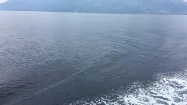 Delfines comunes saltando en la proa de un barco — Vídeo de stock