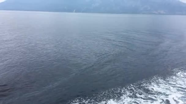 Common dolphins jumping in the bow of a ship — Stock Video