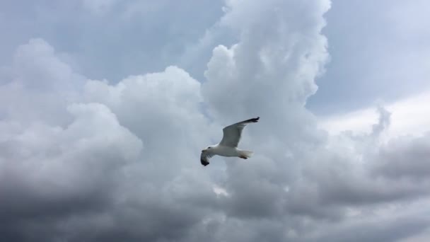 Fehér Felhők Tűnnek Forró Napon Kék Égen Time Lapse Mozgási — Stock videók