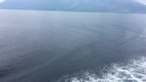 普通海豚在船弓上跳跃 — 图库视频影像