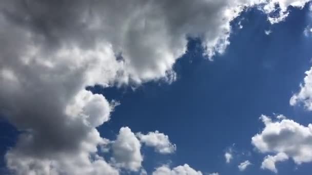 白云在蓝天上的烈日下消失了 循环功能的时间推移运动云支持一个美丽的蓝天 时间推移运动云蓝天背景和太阳 — 图库视频影像