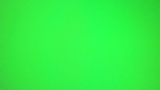 Green Screen Grüner Hintergrund Green Screen Stock Footage Video — Stockvideo