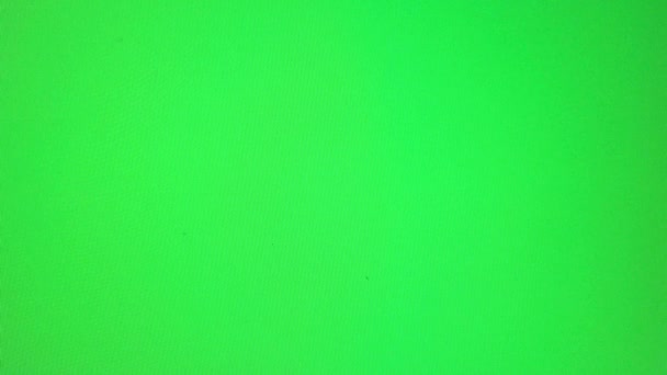 Green Screen Grüner Hintergrund Green Screen Stock Footage Video — Stockvideo