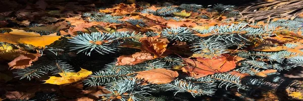 Nahaufnahme am Weihnachtsbaum mit bunten Herbstblättern. — Stockfoto