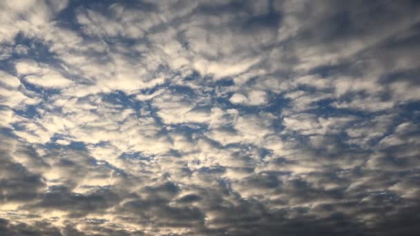 Красивое Голубое Небо Фоне Облаков Небесные Облака Небо Облаками Погода — стоковое видео