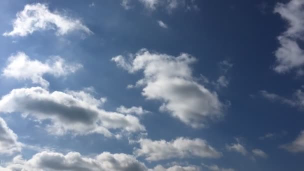 青い空の熱い太陽の下で白い雲が消えます 時間の経過運動雲 青空の背景と太陽 — ストック動画