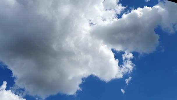 Nuvens Brancas Fundo Céu Azul Elementos Design — Vídeo de Stock