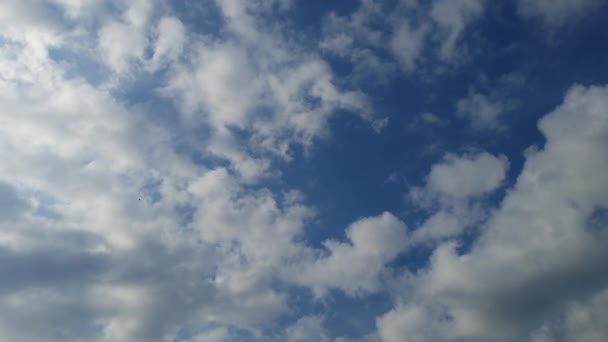 Les Nuages Blancs Disparaissent Sous Soleil Chaud Sur Ciel Bleu — Video