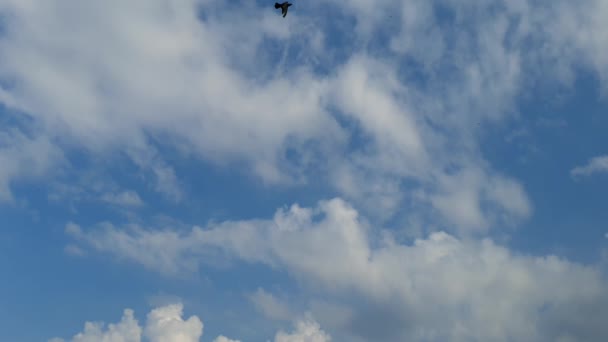 Nubes Blancas Desaparecen Sol Caliente Cielo Azul Nubes Movimiento Lapso — Vídeo de stock