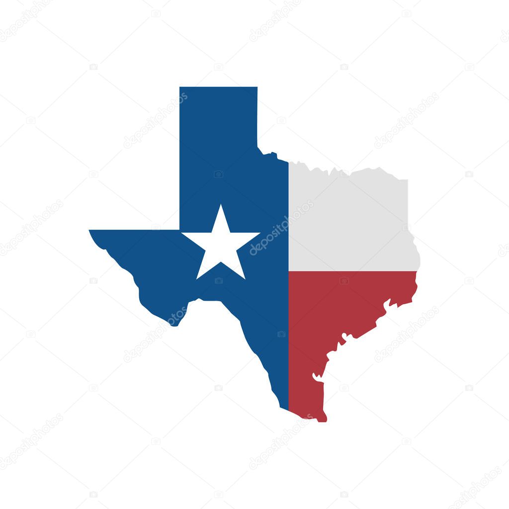 vector illustration of colored texas success initiative flag