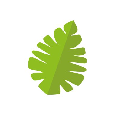 Beyaz arka plan üzerinde izole tropikal yaprak simgesi. Vektör çizim