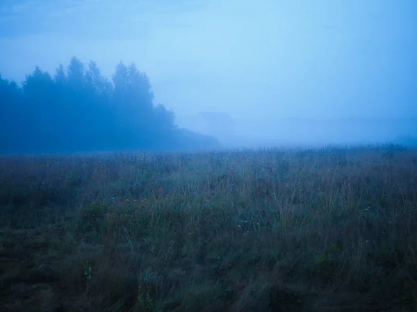 Paesaggio serale con nebbia in un campo selvaggio — Foto Stock