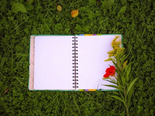 Notebook s prázdným místem leží na trávě — Stock fotografie