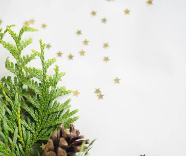 Noel arkaplanı. yeşil ladin dalları