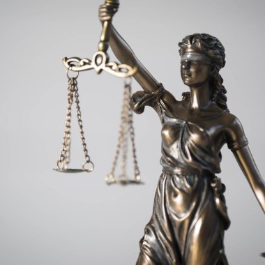 Themis muhasebe dairesi içinde