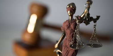 Themis muhasebe dairesi içinde