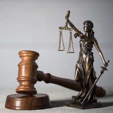 Themis muhasebe dairesi içinde