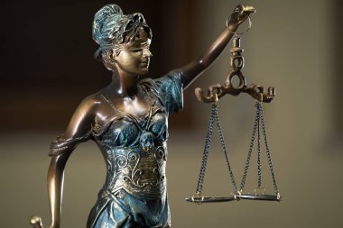 Themis muhasebe dairesi içinde