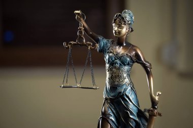 Themis muhasebe dairesi içinde