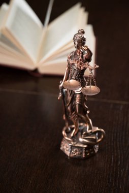 Themis muhasebe dairesi içinde