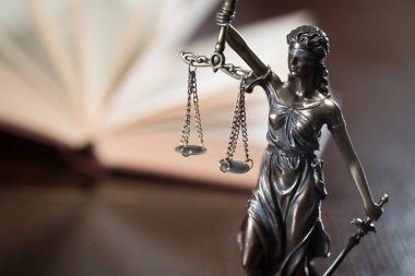 Themis muhasebe dairesi içinde