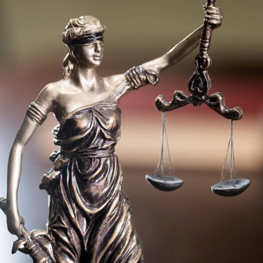 Themis muhasebe dairesi içinde