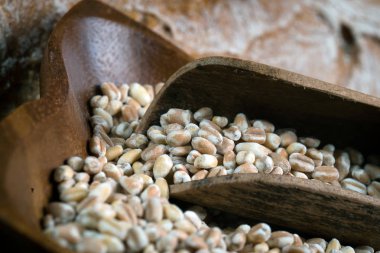 çeşitli taze ev yapımı ekmek ve hamur işleri