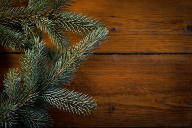 Ahşap arka planda ladin dallarının kapatılması