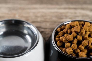 kase kuru köpek maması ve katta su ile