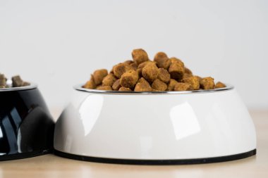 kuru köpek gıda kase katta yığını
