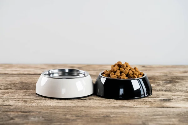 kase kuru köpek maması ve katta su ile