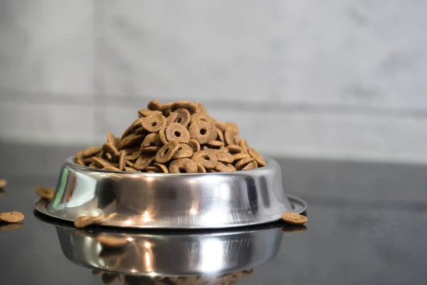 Pila Comida Seca Para Perros Tazón Suelo — Foto de Stock