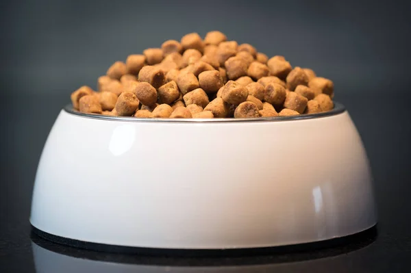 Pila Comida Seca Para Perros Tazón Suelo — Foto de Stock