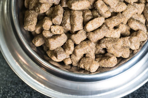Closeup Dog Food Bowl — Stock Photo, Image