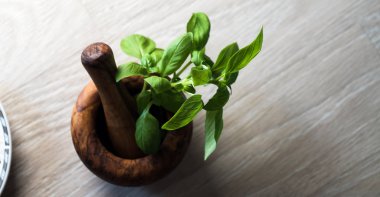 Ahşap stupa taze fesleğen yakın