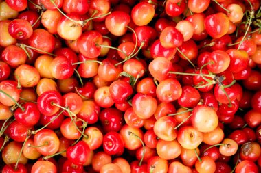 Lezzetli iştah açıcı kiraz yakın çekim