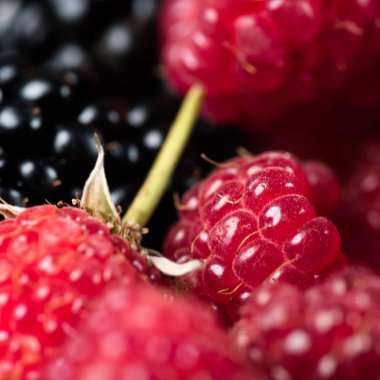 Lezzetli Ahududu ve lezzetli böğürtlen kapat