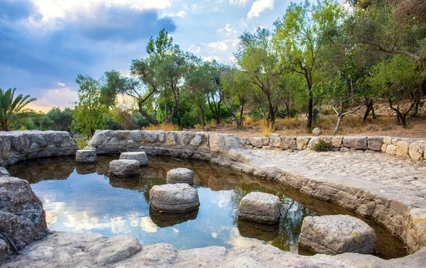 Ayalon Kanada Park Háttér — Stock Fotó