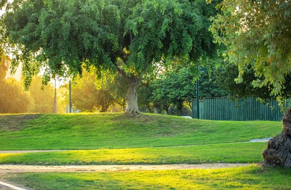 Yarkon Parque Atardecer Fondo — Foto de Stock