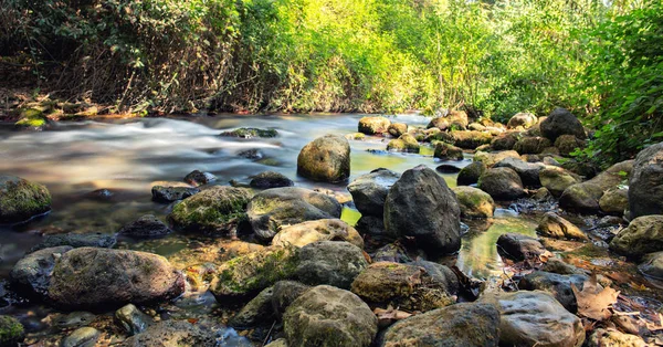 Hermón Arroyo Banias Fondo Del Río —  Fotos de Stock