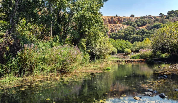 Hermon Ström Banias Floden Bakgrund — Stockfoto