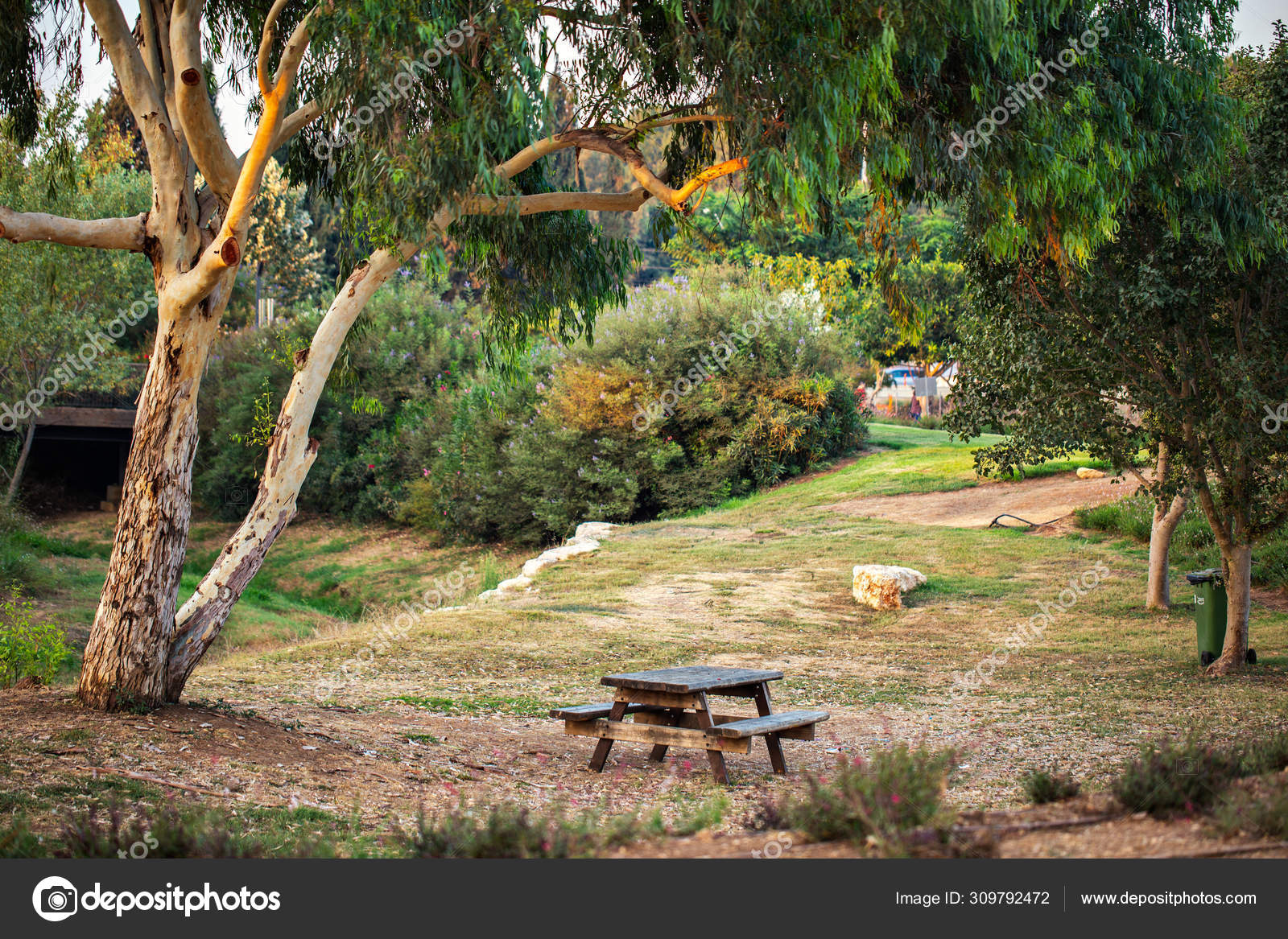 Ariel Sharon Park Nature Background — Stock Photo © Layue #309792472, image size:1600x1167