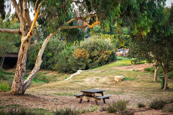 Ariel Sharon Park Természetvédelmi Háttér — Stock Fotó