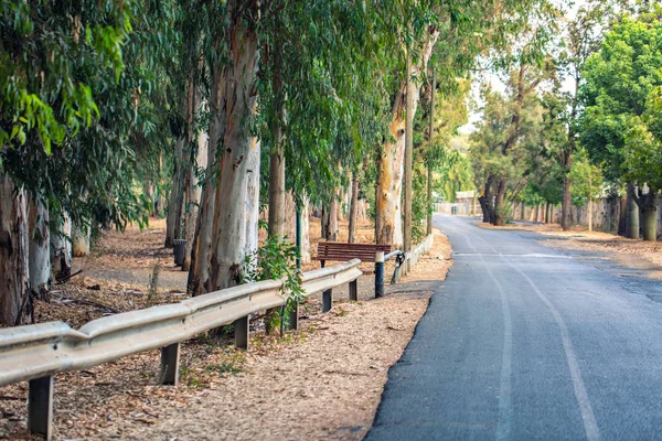 Park Leumi Ramat Gan Road View — Stock Photo, Image