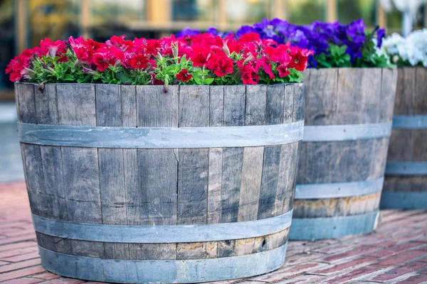 Kleurrijke Petunia Bloemen Bij Een Bloempot — Stockfoto