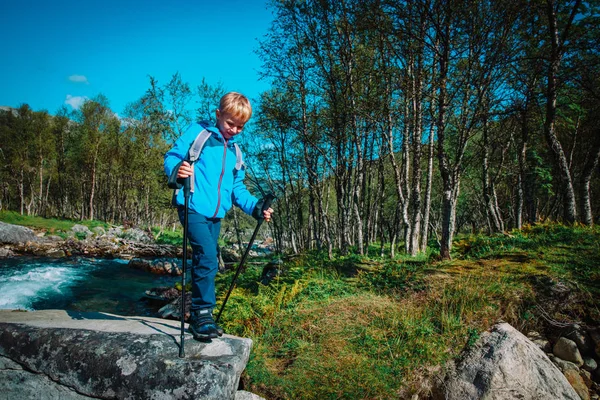 Malý chlapec pěší cestování v horách — Stock fotografie