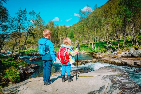 Malý chlapec a dívka cestování v přírodě, při pohledu na vodopád — Stock fotografie