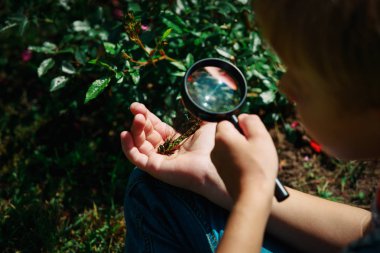 çocuklar öğrenme - büyüteç ile çocuk keşfetmek yusufçuk